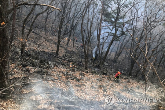 12일 강원 정선군 북평면 나전리 백석산에서 진화대원들이 산불 진화작업을 벌이고 있다. (사진=동부지방산림청 연합뉴스)